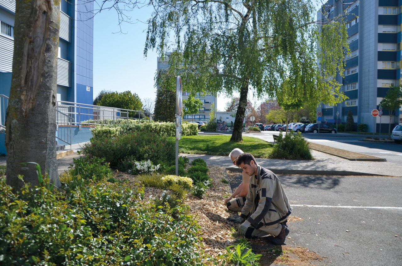 Entretien différencié des espaces verts