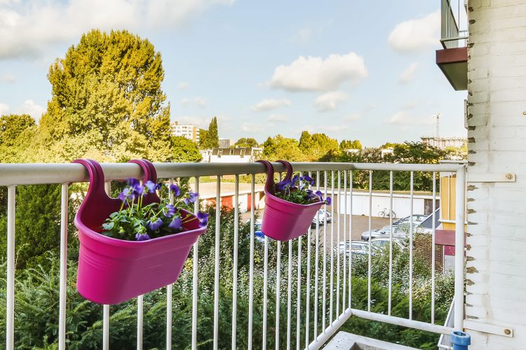 Aménager son logement - attention aux jardinières