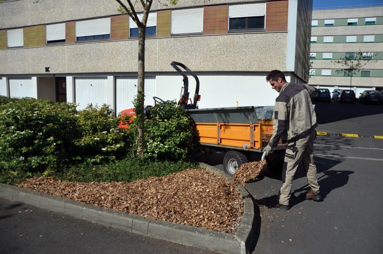 satisfaction des locataires