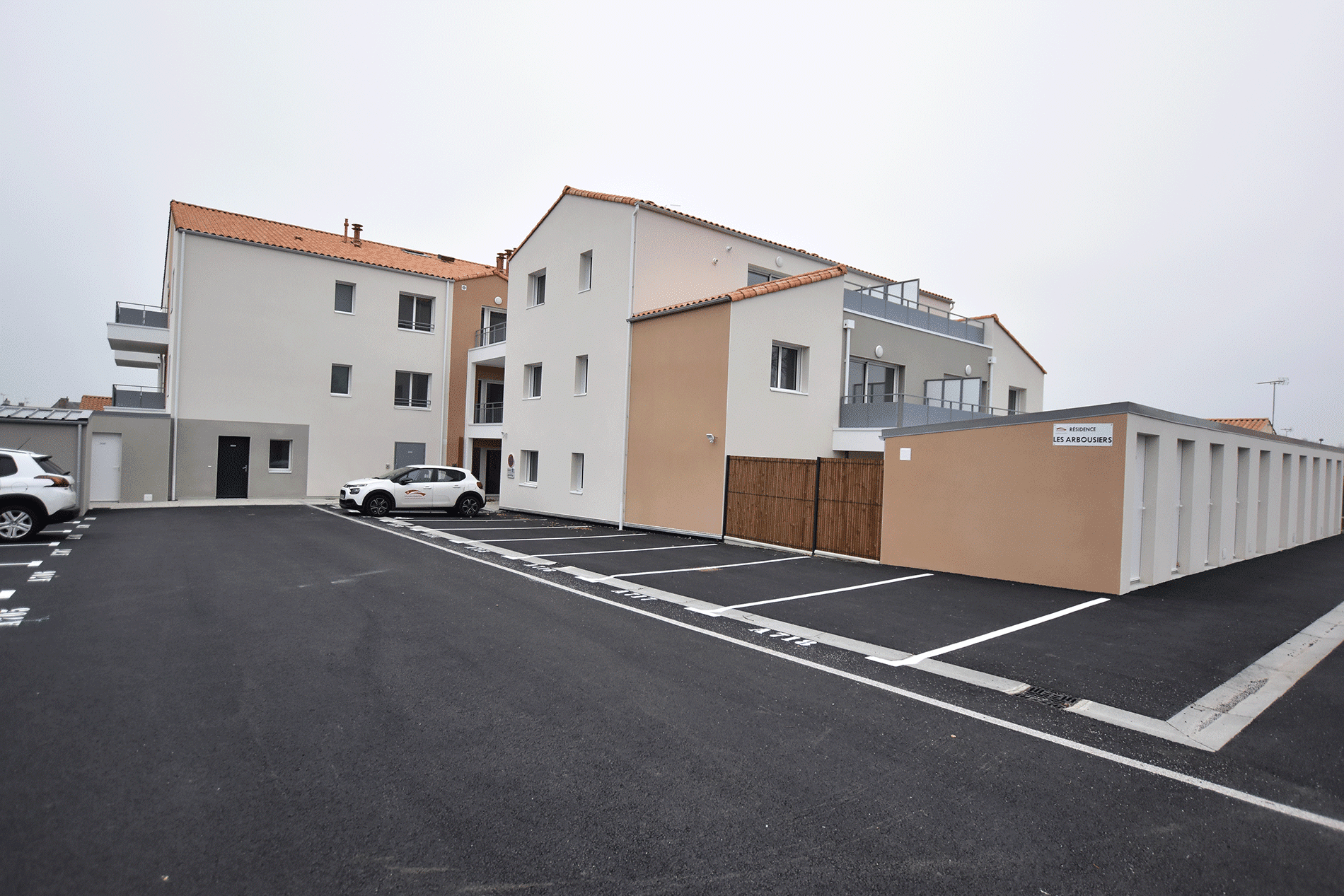 Arbousiers - Bellevigny